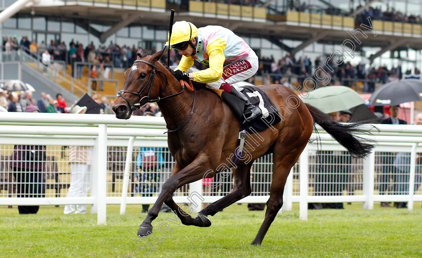 Shadn-0004 
 SHADN (Oisin Murphy) wins The Irish Thoroughbred Marketing Rose Bowl Stakes
Newbury 19 Jul 2019 - Pic Steven Cargill / Racingfotos.com