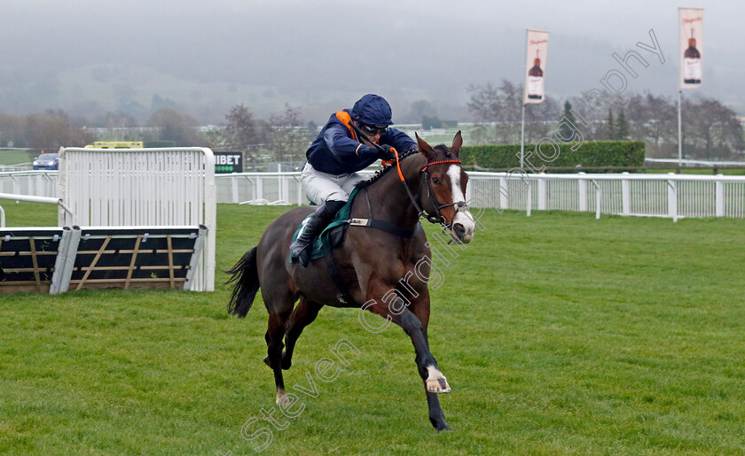 Mirabad-0003 
 MIRABAD (Luke Scott) wins The Catesby Estates Handicap Hurdle
Cheltenham 13 Dec 2024 - Pic Steven Cargill / Racingfotos.com