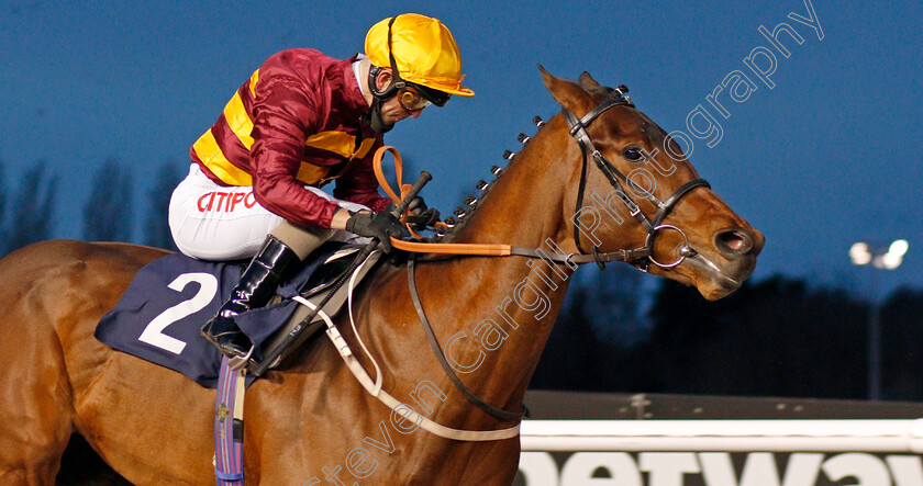 Sea-The-Shells-0007 
 SEA THE SHELLS (Franny Norton) wins The Get Your Ladbrokes Daily Odds Boost Novice Stakes
Wolverhampton 12 Mar 2021 - Pic Steven Cargill / Racingfotos.com