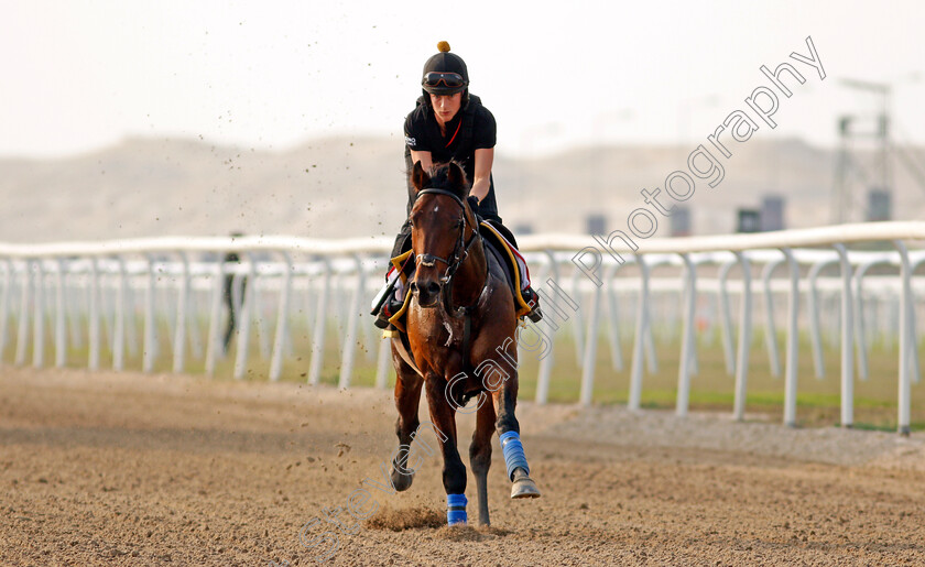 Bangkok-0006 
 BANGKOK training for the Bahrain International Trophy
Rashid Equestrian & Horseracing Club, Bahrain, 18 Nov 2020