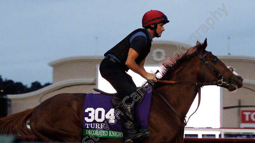 Decorated-Knight-0002 
 DECORATED KNIGHT training for The Breeders' Cup Turf at Del Mar USA 31 Oct 2017 - Pic Steven Cargill / Racingfotos.com