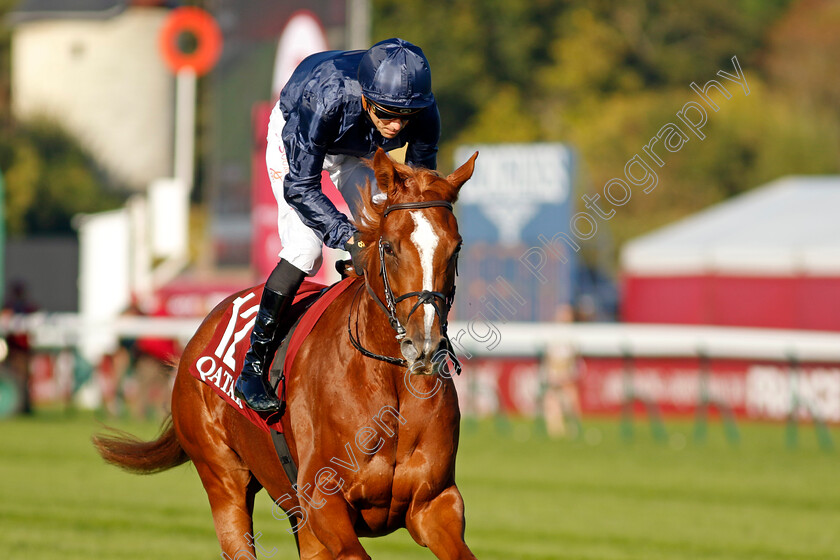 Grateful-0008 
 GRATEFUL (Christophe Soumillon) winner of The Qatar Prix de Royallieu
Longchamp 5 Oct 2024 - Pic Steven Cargill / Racingfotos.com