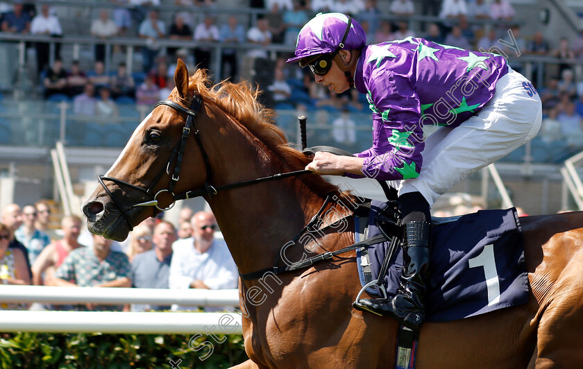 Blonde-Warrior-0008 
 BLONDE WARRIOR (James Doyle) wins The Edmond Shipway Novice Stakes
Doncaster 29 Jun 2018 - Pic Steven Cargill / Racingfotos.com