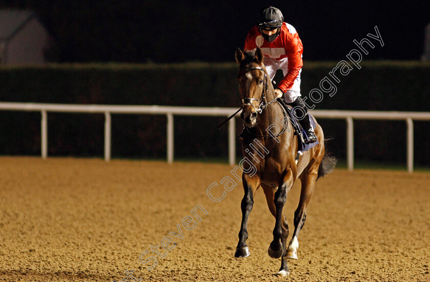 Simple-Star-0001 
 SIMPLE STAR (Ben Curtis)
Wolverhampton 24 Nov 2020 - Pic Steven Cargill / Racingfotos.com