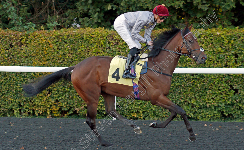 Hlaitan-0002 
 HLAITAN (James Doyle)
Kempton 2 Oct 2019 - Pic Steven Cargill / Racingfotos.com