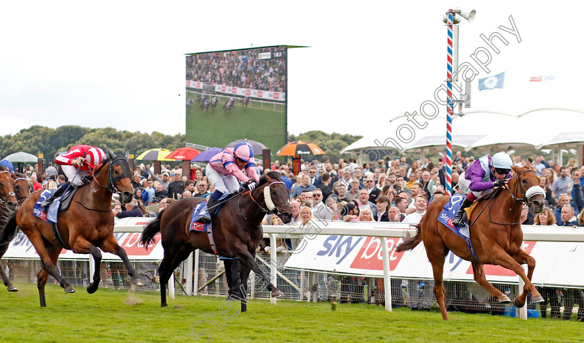 See-The-Fire-0004 
 SEE THE FIRE (Oisin Murphy) beats CHECKANDCHALLENGE (centre) and PHANTOM FLIGHT (left) in The Sky Bet Strensall Stakes
York 24 Aug 2024 - Pic Steven Cargill / Racingfotos.com