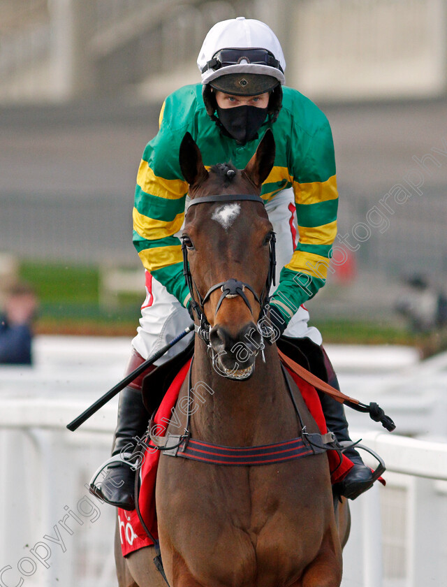 Defi-Du-Seuil-0001 
 DEFI DU SEUIL (Richard Johnson)
Cheltenham 15 Nov 2020 - Pic Steven Cargill / Racingfotos.com