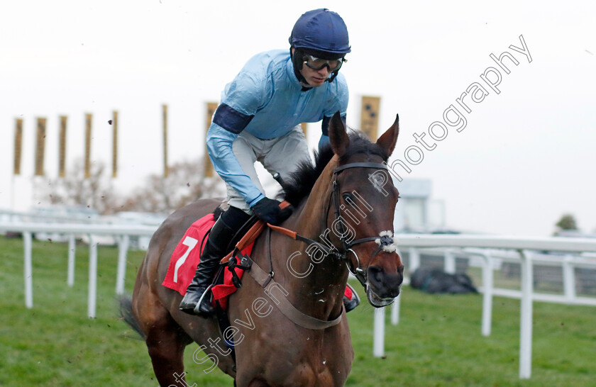 Impact-Du-Bonheur-0001 
 IMPACT DU BONHEUR (Harry Cobden)
Sandown 8 Dec 2023 - Pic Steven Cargill / Racingfotos.com