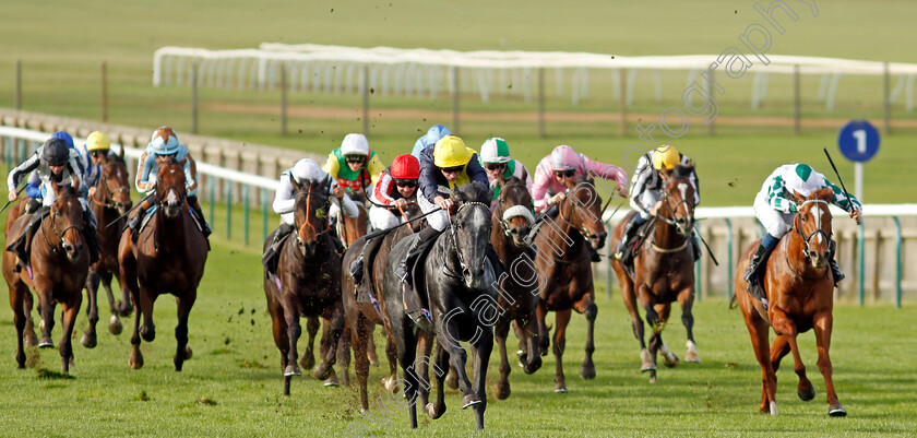 Bodorgan-0007 
 BODORGAN (Ryan Moore) wins The British Stallion Studs EBF Novice Stakes Div2
Newmarket 28 Oct 2022 - Pic Steven Cargill / Racingfotos.com