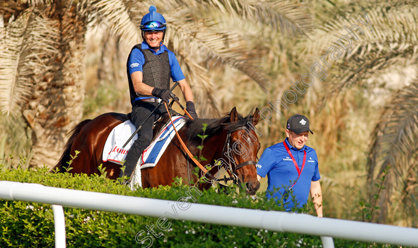 Zakouski-0003 
 ZAKOUSKI exercising in preparation for Friday's Bahrain International Trophy
Sakhir Racecourse, Bahrain 18 Nov 2021 - Pic Steven Cargill / Racingfotos.com