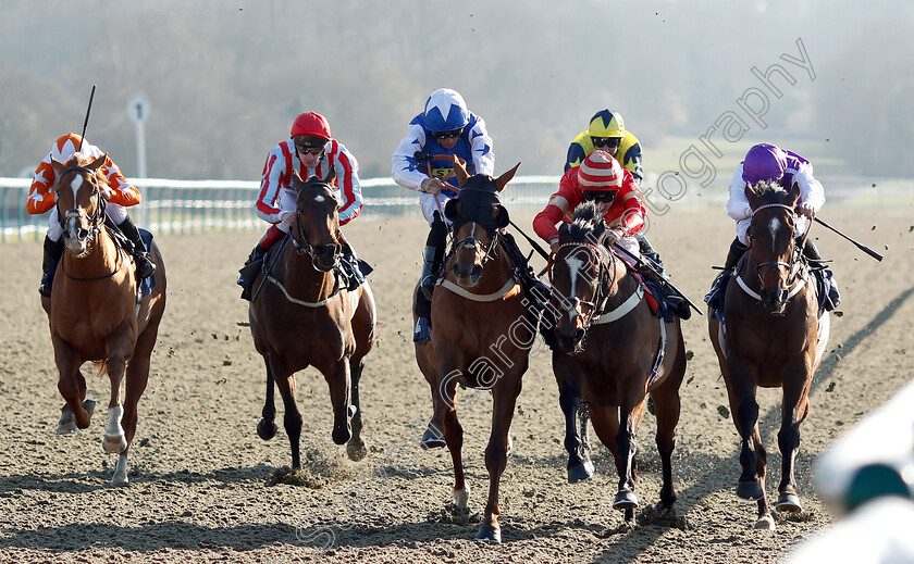 Exceeding-Power-0005 
 EXCEEDING POWER (2nd right, George Wood) beats PETITE JACK (centre) and COSMEAPOLITAN (right) in The Betway Casino Handicap
Lingfield 23 Feb 2019 - Pic Steven Cargill / Racingfotos.com