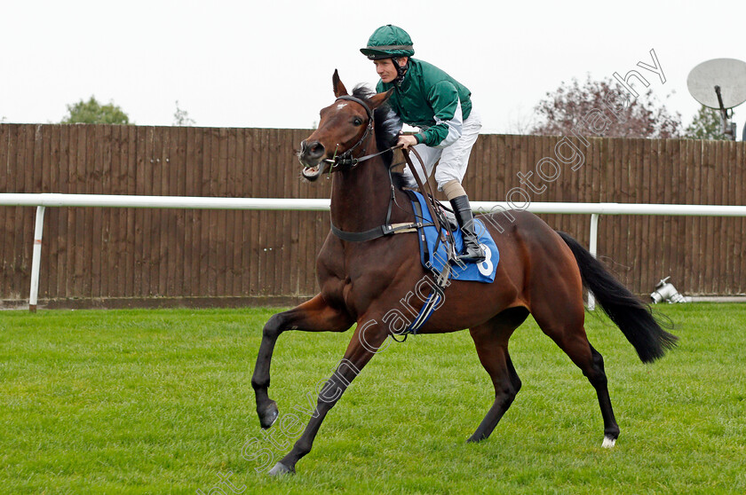 Quickdrawmcgraw 
 QUICKDRAWMCGRAW (Kieran O'Neill)
Leicester 12 Oct 2021 - Pic Steven Cargill / Racingfotos.com