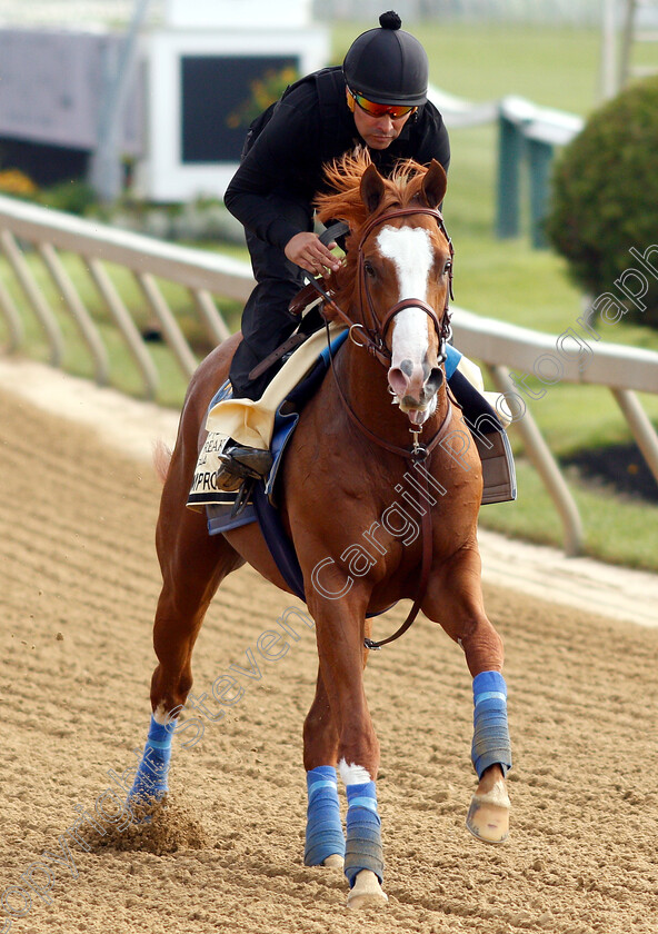 Improbable-0013 
 IMPROBABLE exercising in preparation for the Preakness Stakes
Pimlico, Baltimore USA, 16 May 2019 - Pic Steven Cargill / Racingfotos.com