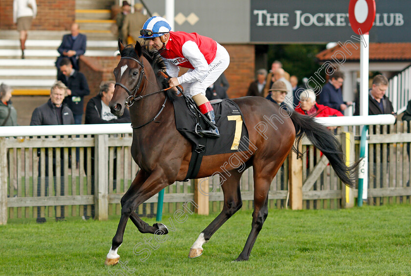 It-Is-Now 
 IT IS NOW (Andrea Atzeni)
Newmarket 20 Oct 2021 - Pic Steven Cargill / Racingfotos.com