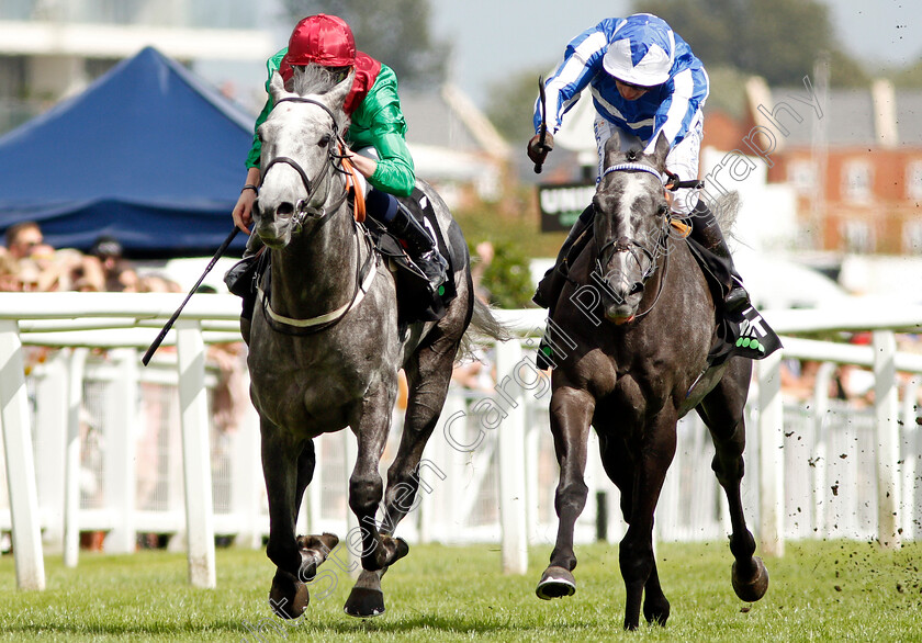 Technician-0003 
 TECHNICIAN (left, Rob Hornby) beats MORANDO (right) in The Unibet Geoffrey Freer Stakes
Newbury 17 Aug 2019 - Pic Steven Cargill / Racingfotos.com