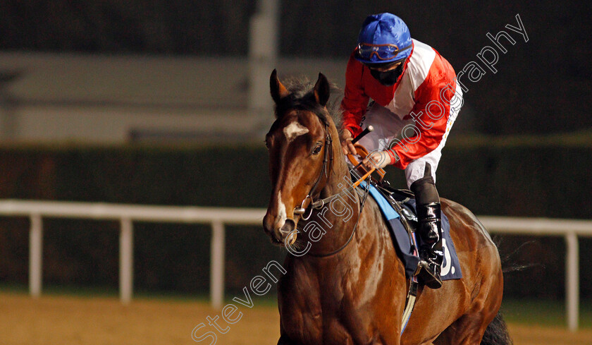 Inigo-Jones-0001 
 INIGO JONES (Ryan Moore)
Wolverhampton 5 Dec 2020 - Pic Steven Cargill / Racingfotos.com