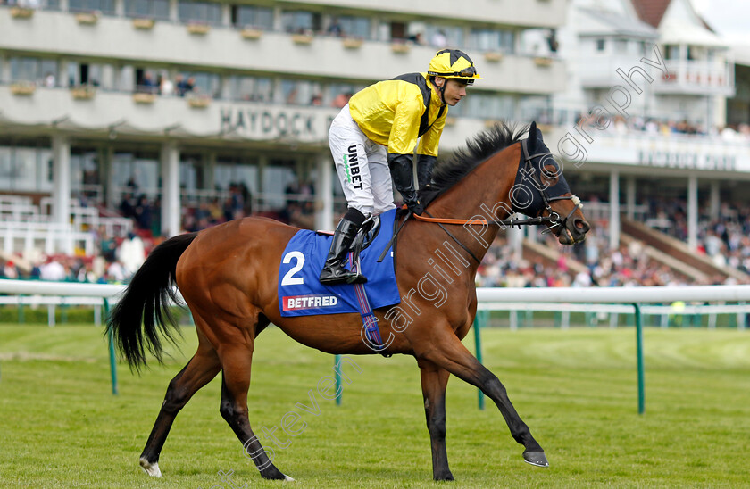 Bless-Him-0002 
 BLESS HIM (Jamie Spencer)
Haydock 8 Jun 2024 - Pic Steven Cargill / Racingfotos.com