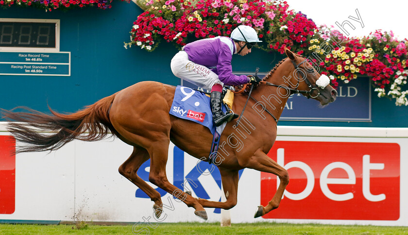 See-The-Fire-0001 
 SEE THE FIRE (Oisin Murphy) wins The Sky Bet Strensall Stakes
York 24 Aug 2024 - Pic Steven Cargill / Racingfotos.com