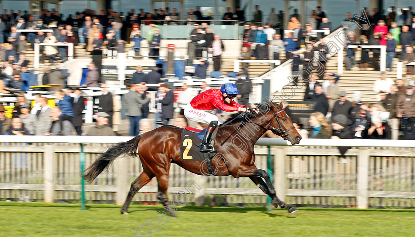 Audience-0003 
 AUDIENCE (Robert Havlin) wins The 888sport British EBF Novice Stakes Div1
Newmarket 29 Oct 2021 - Pic Steven Cargill / Racingfotos.com