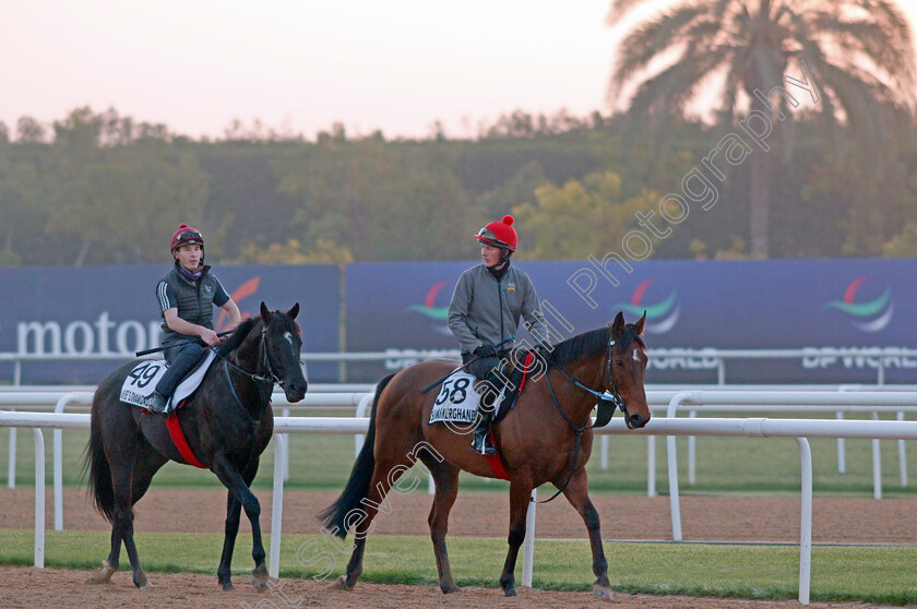 Summerghand-and-Marie s-Diamond-0001 
 SUMMERGHAND (right) and MARIE'S DIAMOND (left) exercising for trainers David O'Meara and Roger Fell
Meydan, Dubai, 3 Feb 2022 - Pic Steven Cargill / Racingfotos.com