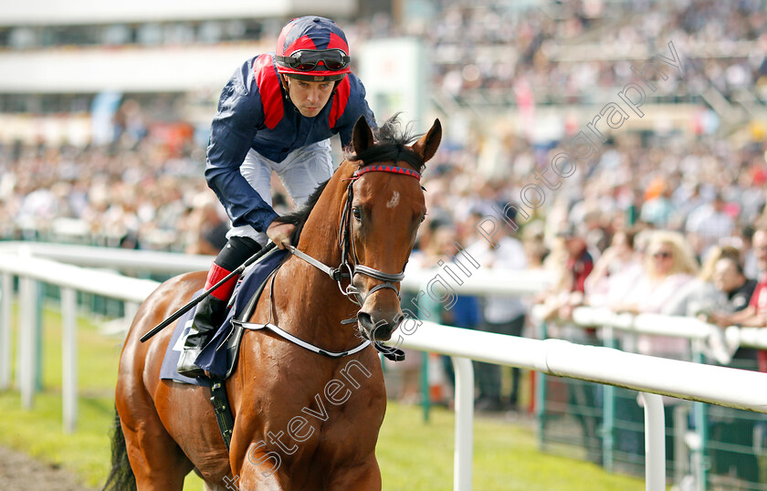 Twilight-Jet-0001 
 TWILIGHT JET (L F Roche)
Doncaster 11 Sep 2021 - Pic Steven Cargill / Racingfotos.com