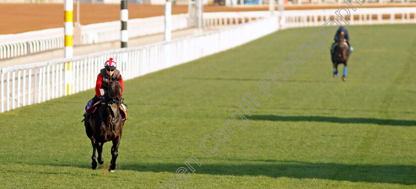 Annaf-0001 
 ANNAF training for The 1351 Turf Sprint
King Abdulaziz Racecourse, Saudi Arabia 21 Feb 2024 - Pic Steven Cargill / Racingfotos.com