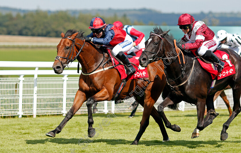 Zlatan-0002 
 ZLATAN (left, Sophie Smith) beats LUNA MAGIC (right) in The Tote Placepot First Bet Of The Day Amateur Jockeys Handicap
Goodwood 29 Aug 2021 - Pic Steven Cargill / Racingfotos.com