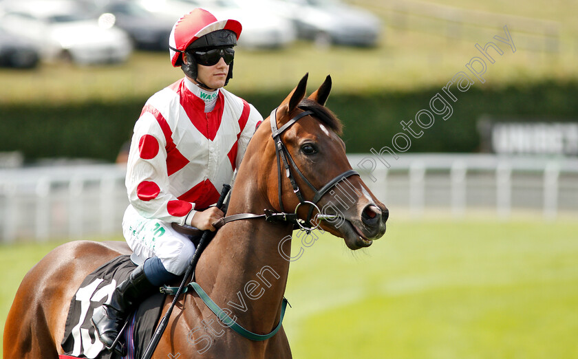 Liberty-Beach-0001 
 LIBERTY BEACH (Jason Hart) winner of The Markel Insurance Molecomb Stakes
Goodwood 31 Jul 2019 - Pic Steven Cargill / Racingfotos.com