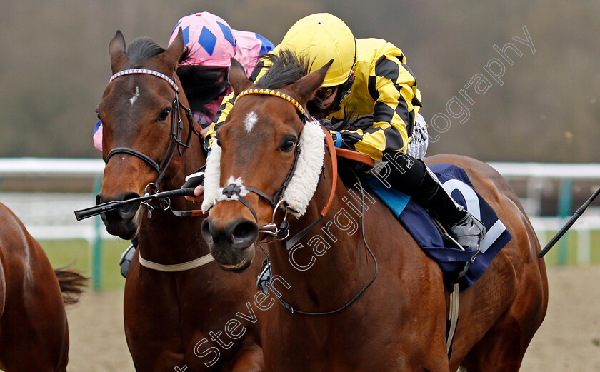 Ornate-0004 
 ORNATE (Phil Dennis) wins The Betway Handicap
Lingfield 6 Mar 2021 - Pic Steven Cargill / Racingfotos.com