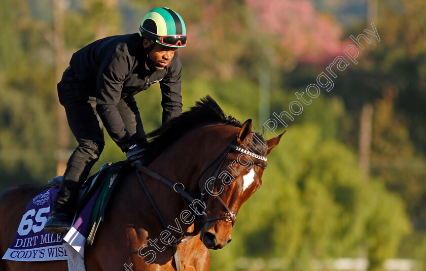 Cody s-Wish-0001 
 CODY'S WISH training for the Breeders' Cup Dirt Mile
Santa Anita USA, 1 Nov 2023 - Pic Steven Cargill / Racingfotos.com