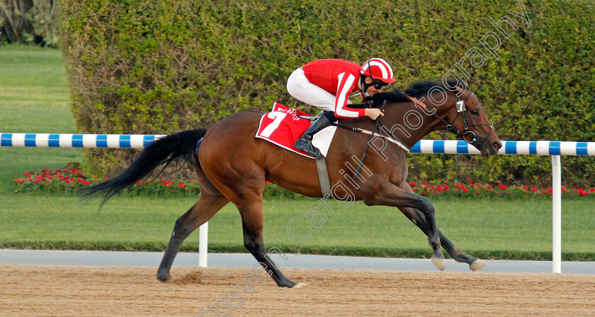 Salute-The-Soldier-0003 
 SALUTE THE SOLDIER (Adrie De Vries) wins The Burj Nahaar
Meydan 7 Mar 2020 - Pic Steven Cargill / Racingfotos.com