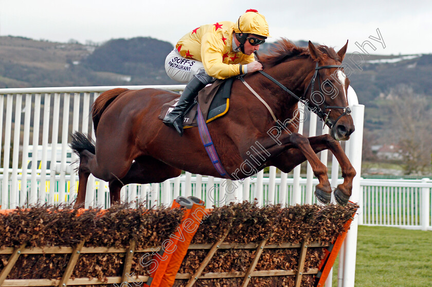 Count-Meribel-0002 
 COUNT MERIBEL (Mark Grant) Cheltenham 16 Dec 2017 - Pic Steven Cargill / Racingfotos.com