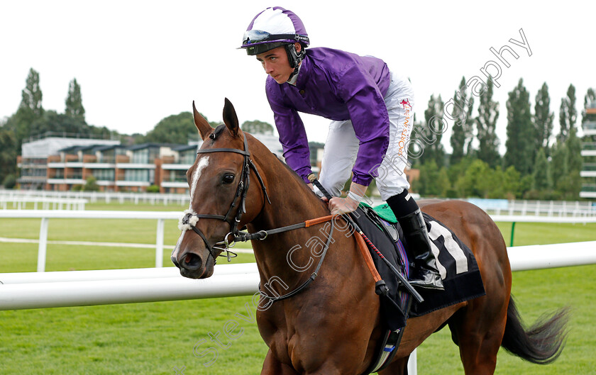 Fearless-Angel-0001 
 FEARLESS ANGEL (Rossa Ryan)
Newbury 13 Aug 2021 - Pic Steven Cargill / Racingfotos.com