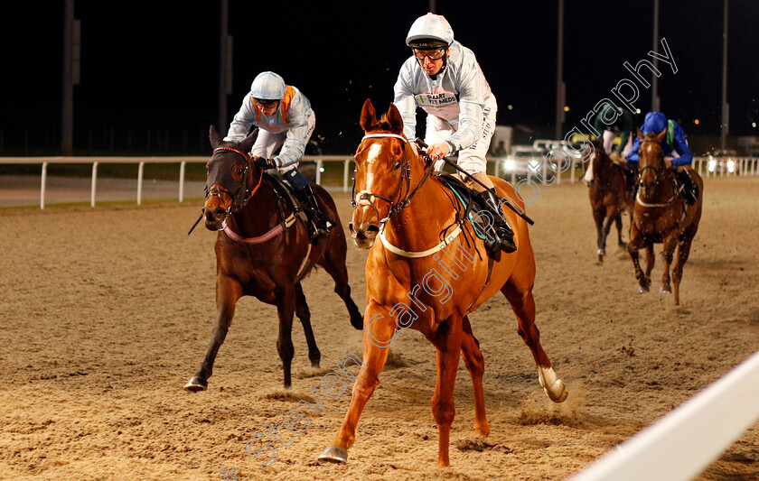 Lucky s-Dream-0003 
 LUCKY'S DREAM (Martin Dwyer) wins The Bet toteswinger At totesport.com Handicap
Chelmsford 11 Jan 2020 - Pic Steven Cargill / Racingfotos.com