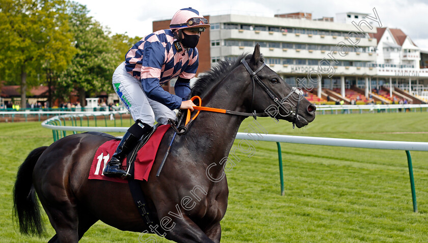 Lincoln-Park-0001 
 LINCOLN PARK (Jane Elliott)
Haydock 22 May 2021 - Pic Steven Cargill / Racingfotos.com