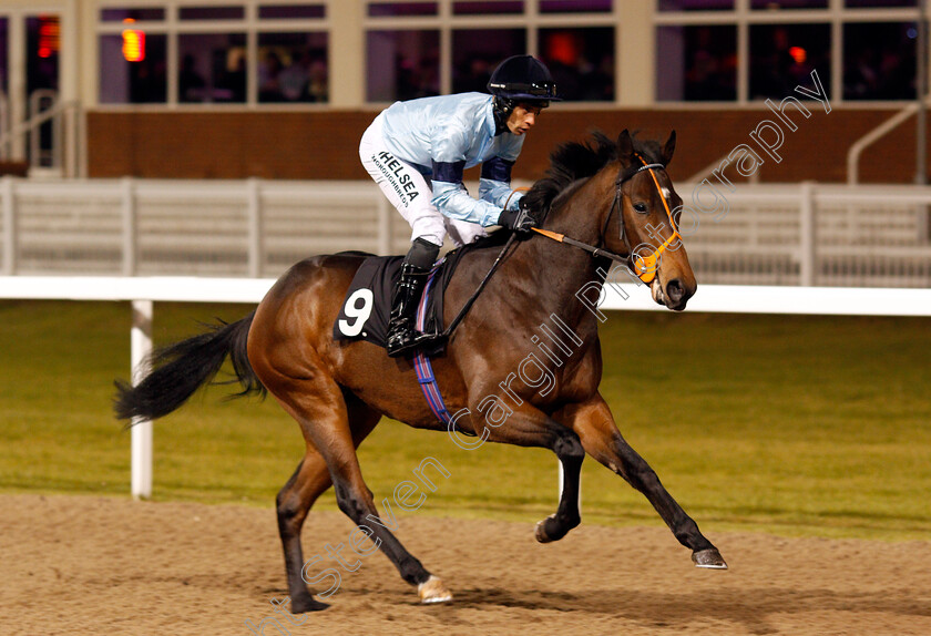 Strategic-0001 
 STRATEGIC (Sean Levey) Chelmsford 1 Dec 2017 - Pic Steven Cargill / Racingfotos.com