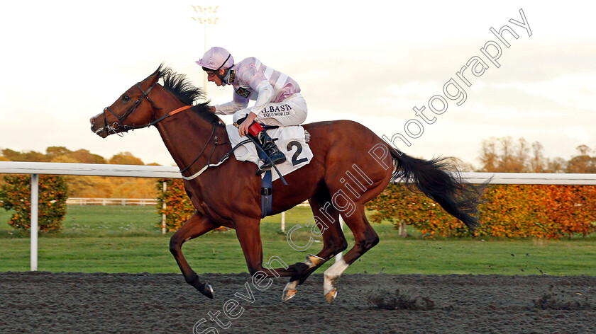 Aratus-0007 
 ARATUS (Adam Kirby) wins The British EBF Future Stayers Maiden Stakes
Kempton 2 Nov 2020 - Pic Steven Cargill / Racingfotos.com