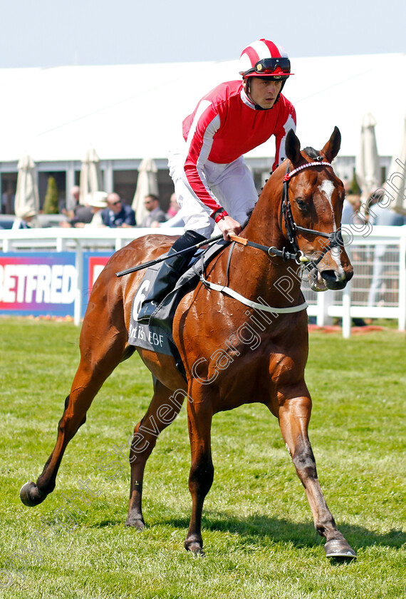 Valour-And-Swagger-0001 
 VALOUR AND SWAGGER (Clifford Lee)
Epsom 2 Jun 2023 - Pic Steven Cargill / Racingfotos.com