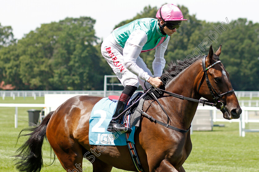 Ephrata-0001 
 EPHRATA (Robert Havlin)
Ascot 23 Jul 2021 - Pic Steven Cargill / Racingfotos.com