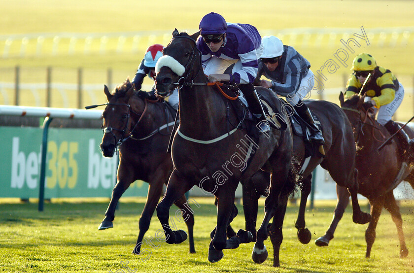 Muntadab-0003 
 MUNTADAB (Cameron Noble) wins The Newmarket Journal Handicap
Newmarket 29 Sep 2018 - Pic Steven Cargill / Racingfotos.com