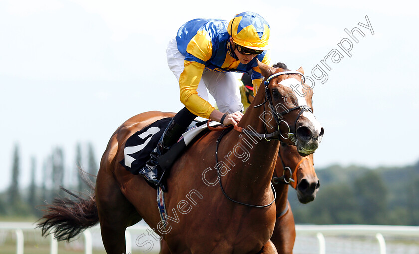 Feline-Groovy-0005 
 FELINE GROOVY (James Doyle) wins The Crossland British EBF Confined Fillies Novice Stakes Div1 
Newbury 14 Jun 2018 - Pic Steven Cargill / Racingfotos.com