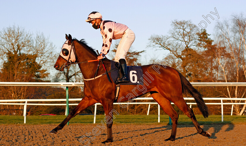 Hotalena-0002 
 HOTALENA (Pierre-Louis Jamin) winner of The Ladbrokes Watch Racing Online For Free Handicap
Lingfield 26 Feb 2021 - Pic Steven Cargill / Racingfotos.com