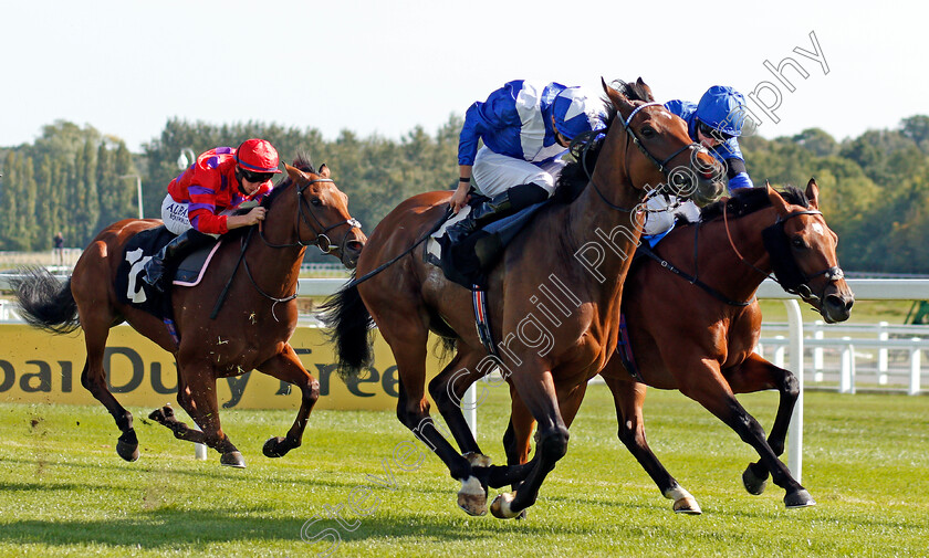 Humanitarian-0003 
 HUMANITARIAN (James Doyle) beats DUBAI FUTURE (right) in The Dubai Duty Free Handicap
Newbury 18 Sep 2020 - Pic Steven Cargill / Racingfotos.com