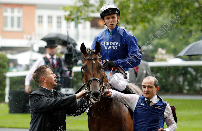 Divine-Spirit-0001 
 DIVINE SPIRIT (Kerrin McEvoy)
Royal Ascot 19 Jun 2019 - Pic Steven Cargill / Racingfotos.com