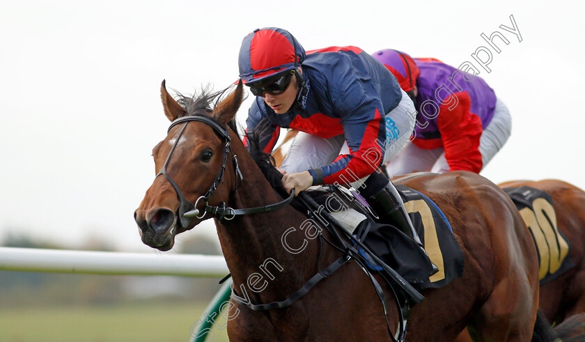 Misty-Sky-0001 
 MISTY SKY (Aidan Keeley) wins The Prestige Vehicles Fillies Restricted Novice Stakes
Newmarket 23 Oct 2024 - Pic Steven Cargill / Racingfotos.com