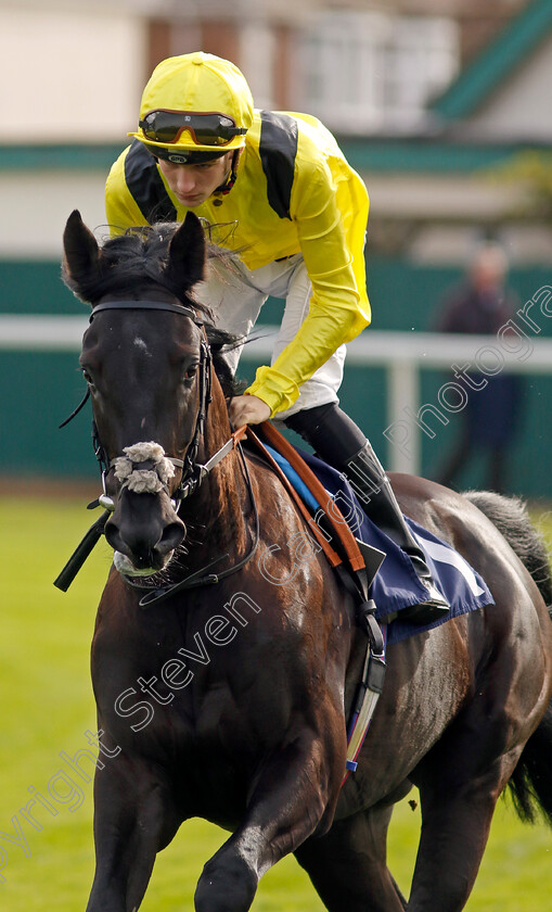 Yaajooz-0001 
 YAAJOOZ (Harry Davies)
Yarmouth 16 Oct 2023 - Pic Steven Cargill / Racingfotos.com