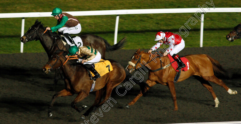 Inevitable-Outcome-0002 
 INEVITABLE OUTCOME (Callum Shepherd) wins The 32Red.com Handicap
Kempton 17 Feb 2020 - Pic Steven Cargill / Racingfotos.com