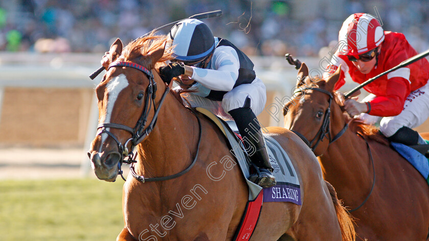 Sharing-0004 
 SHARING (Manuel Franco) wins The Breeders' Cup Juvenile Fillies Turf
Santa Anita USA 1 Nov 2019 - Pic Steven Cargill / Racingfotos.com