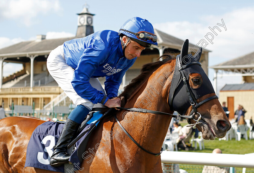 Striking-Star-0001 
 STRIKING STAR (William Buick)
Doncaster 2 Apr 2023 - Pic Steven Cargill / Racingfotos.com