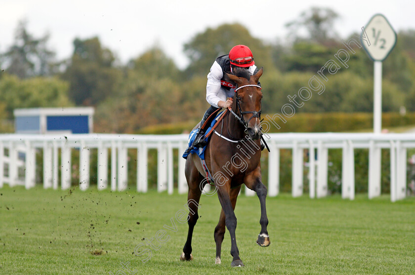 Bartzella-0006 
 BARTZELLA (Tom Marquand) wins The Troy Asset Management Novice Stakes
Ascot 1 Oct 2021 - Pic Steven Cargill / Racingfotos.com